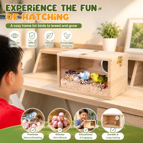 Rypet Parakeet Nesting Box, Cockatiel Bird Nest Box with Perch(S) | Wood Bird Cage House, Transparent Thwartwise Design, Warm & Durable for Cockatiel Lovebirds Budgie Finch Parrotlets Canary - size: Small
