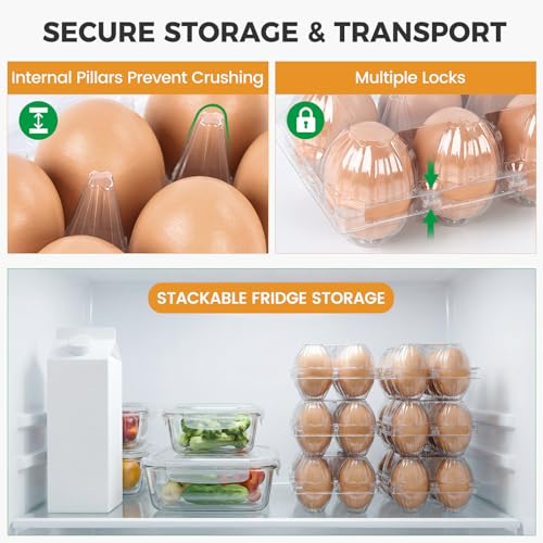 HANSGO 60 PCS Plastic Egg Cartons Bulk with Date Labels, 6 Count | Clear Stackable Egg Holder for Fresh Medium, Eggs Storage, Perfect for Farm, Family, Markets Display - color: 60PK-6CT
