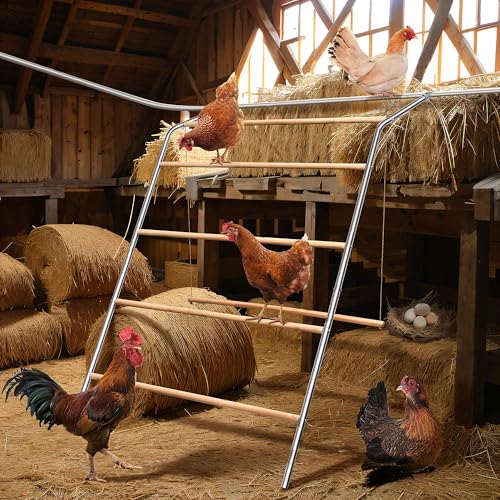 Large Chicken Roosting Bars with Swing (74.4"), Sturdy Metal Chicken Perch for Coop, Heavy Duty Jungle Gym Ladder for Hens, Entertainment Accessories & Toys for Backyard Poultry, Easy to Clean - size: 74.4in x 40.6in
