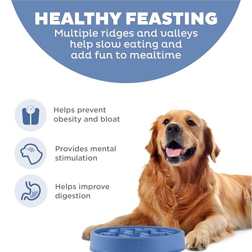 Outward Hound Fun Feeder Slo Bowl – Large 4‑Cup Capacity, Slow Feeding, Medium to Large Dogs, Non‑Slip, Blue, Notch Pattern - color: Blue, size: Large