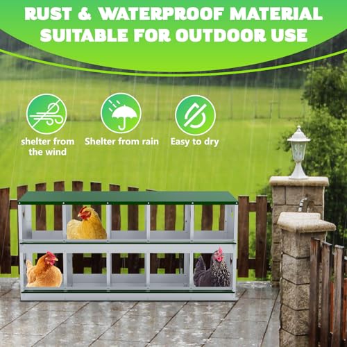 TOCRETOARE Chicken Nesting Boxes, 10 Hole Nesting Box for Laying Eggs, Heavy Duty Metal Nest Boxes for Chicken and Poultry to Collect Eggs, Chicken Laying Boxes Hens Chicken Coop Box - size: 10 Hole