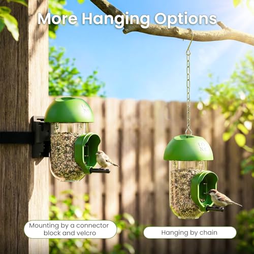 ‌LONA 1Pack Tube Bird Feeders, Weatherproof Design with 1 Feeding Port | Easy-fill Top Design, 2 Ways for Hanging, Suits Mixed Seeds, Squirrel-Proof Bird Feeder for Backyard/ Garden/ Patio, Green - size: 1 Port
