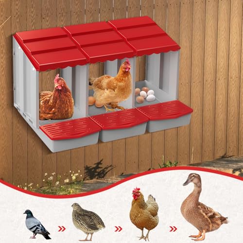 3 Hole Chicken Nesting Box with Rolling Egg Collection Design | Rolling Egg Collection & Protection Nesting Boxes, Avoid Broken Eggs, Ideal for Coops, Backyard & Family Chicken Raising ﻿ - size: 34.2"L x 20.1"W x 18.3"H