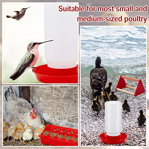 Patelai 4 Pcs Chick Feeder and Waterer Kit Feeding Supplies with Mini Perch Chicken Starter Kit for Coop and Brooder for Small Poultry Ducks Quail