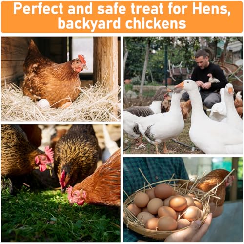 MAQIHAN 10oz Chicken Nesting Herbs - Dried Herbs Supplement for Laying Hens | Natural Chicken Treats for Nutritious Feeding, Comfortable Bedding Supplies for Nesting Pad & Box, Chicken Coop Accessories - size: 10 Ounce (Pack of 1)