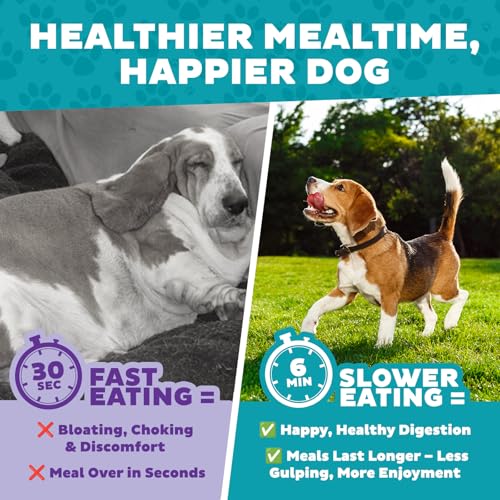 Outward Hound Fun Feeder Slo Bowl – Large 4‑Cup Capacity,Slow Feeding,Medium to Large Dogs,Non‑Slip,Purple,Flower Pattern,(Pack of 6) - color: Purple, size: Large (Pack of 6)