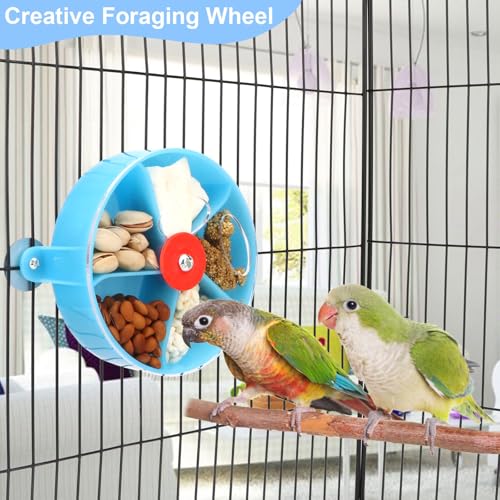 Bird Creative Foraging System Wheel Seed Food Ball Rotate Training Toy for Small and Medium Parrots Parakeet Cockatiel Conure (Blue) - color: Blue