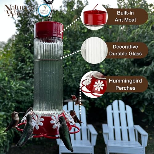 Nature's Way Hanging Glass Hummingbird Feeder for Outdoor Décor, 28 Ounce Capacity Nectar Feeder, Ant Moat, 7 Easy to Clean Flexible Ports, Red - style: 28 Ounce Capacity