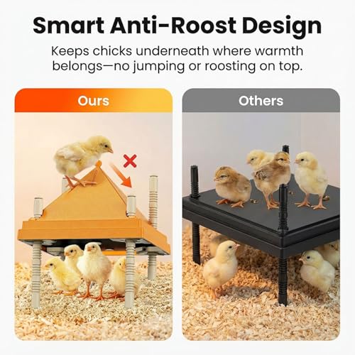 Chick Brooder Heating Plate with Anti-Roosting Cone Cover, 10" x 10" Brooder Heater for 10-12 Chicks, Adjustable Height & Angle, Safe Energy-Saving Radiant Heat, Prevents Roosting & Keeps Top Clean - size: 10.0"L x 10.0"W x 10.0"H