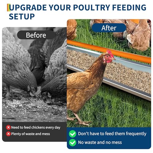 45" Chicken Trough Feeder, 5 Gallon Galvanized Steel Feed Trough with Drainage Holes & Red Crossbar | Heavy Duty, Rust-Proof Metal Duck Chicken Feeder Orange - color: Orange