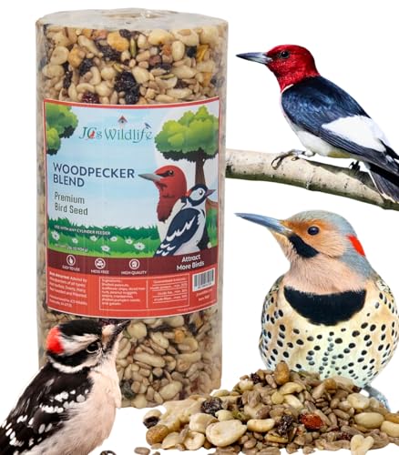 JCs Wildlife Woodpecker Blend Bird Seed Cylinder with Hole, Peanuts Pecans Pumpkin Seeds Berries, No Filler Wild Bird Food for Outside Feeders, Made in the USA, 2 Pound (Pack of 1) - size: 1 Count (Pack of 1)