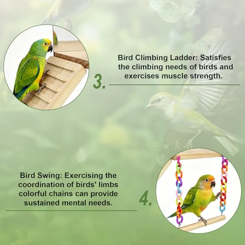 Bird Perches Platform Swing for Cage Bird Toys with Bird Mirror | Climbing Frame for Lovebirds, Budgies,Pacific Parrotlets,Chinchilla, Hamster Gym Exercise