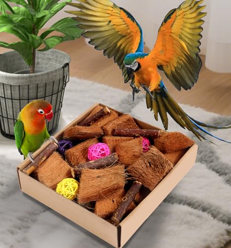 Kyouki Bird Toy for Parrots，Cockatiels, Budgies, Conures, Macaws, Lovebirds, Amazons and Other Small/Medium/Large Birds - Chewable & Shreddable Natural Coconut Husk Enrichment Toy (Medium DIY) - size: Medium DIY