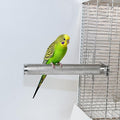 AOTU Large Bird Perch Stainless Steel Parrot Perches Bird Stand for Cage Durable Beak & Claw Trimming Grinding Perch for Birds Parrot Cage Accessory (S: 7.8″ x 1″) - size: S: 9.8″ x 1″