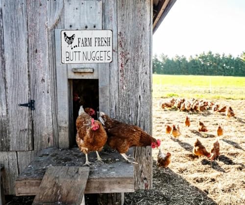 Smilelife Funny Chicken Gifts Chicken Farm Fresh Butt Nuggets Tin Sign for Home Farm Chicken Coop Farmhouse Kicthen Garden Decor 8 X 12 Inch (3189) - color: Dark Grey