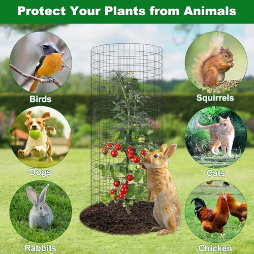 winemana 12 Set Plant Protectors Covers from Animals, 36 Pcs 24x12 Inch Metal Wire Garden Cages with Stakes & Ties, Outdoor Protection to Keep Rabbits Chickens Out for Flowers Vegetables (Black) - color: Black, size: 24 IN x12 IN