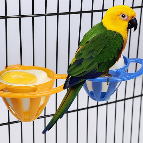 6 Pcs Bird Cage Food Holder Birdcage Foraging Toy Detachable Egg Holder for Small Size Bird Parrot Canary Finch Cockatiel
