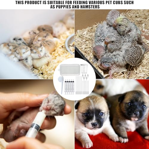 Baby Bird Feeding Syringe Kit,Hand Feeding Syringe for Birds,Pet Syringe Feeding Tool, Parrot Feeding Tubes Set for Small Baby Birds Pet Kittens (B) - color: B