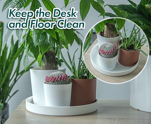 Phoenix Vine 12 Inch Plastic Plant Saucer Water Drip Tray, Heavy Sturdy Round Plant Drainage Tray for Indoors Outdoor, Matte White, 21-TY-12W-1 - size: 12"