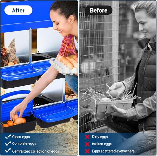 Chicken Nesting Box,Chicken Egg Laying Box with 6 Compartments, Roll Away Eggs Laying Boxes, Nesting Boxes, Indoor & Outdoor Use,Easy Egg Collection, Easy Cleaning - color: Blue, size: 6 holes