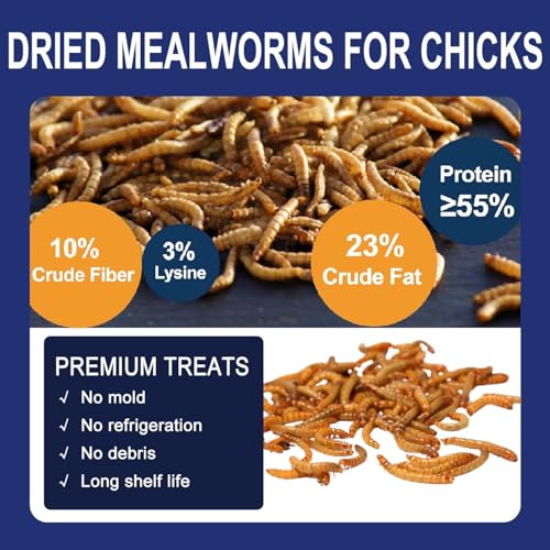 RANZ 8LBS Non-GMO Dried Mealworms for Chickens, High Protein Meal Worms, Premium Chicken Feed, Whole Large Mealworms for Blue Birds, Ducks, Fish - size: 8 Pound (Pack of 1)