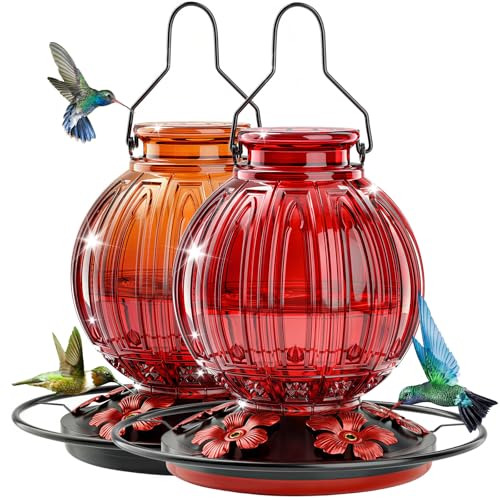 2 Pack Glass Hummingbird Feeder for Outdoors Hanging, Bird Nectar Feeder with Perch & 5 Flower Feeding Ports, 26 Oz Leak Proof for Outside Garden Decor Backyard, Gifts for Women Mom, Red + Orange Red - color: Red + Orange Red