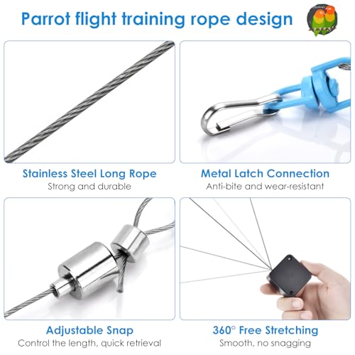 6.6Ft Bird Leash, with 13 Different Size Foot Ring Retractable Anti-Bite Parrot Harness, Bird Flight Training Rope for Budgies,Cockatiels,Psittacula Longicauda,Mini Macaws （Silver Ankle Bracelet） - color: Silver ankle bracelet