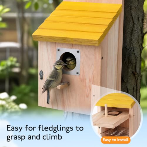 Marsui 4 Pack Wood Bird Houses for Outside Blue Bird Houses Set with Pole | Bird Houses for Outdoor, with Metal Guards, Safety Locks, Flight Slots, Ventilation for Bluebirds Wrens Finches