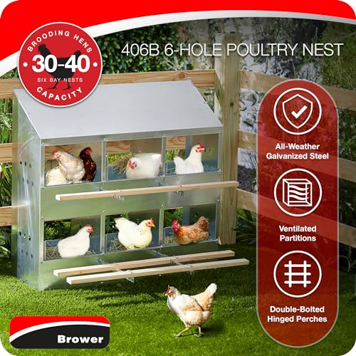 Brower 2-Tier 6-Hole Galvanized Steel Chicken Nesting Box, 30 to 40 Hen Capacity – Outdoor Poultry Laying Station with Hinged Folding Perches, Ventilated Design & Slanted Roof – Made in the USA - size: 37.0"L x 33.0"W x 24.5"H
