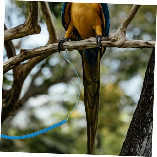 TOYANDONA 2pcs Parrot Training Leash Elastic Flying Rope for Safe Outdoor Activities Comfortable for Birds for Parrot and Training