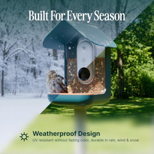 Birdbuddy Pro Smart Bird Feeder with Camera, AI Bird ID, 2K Video & Photos | 2K video quality, 5MP Photos, 1/2.7” sensor with excellent low-light performance, High Dynamic Range (HDR)