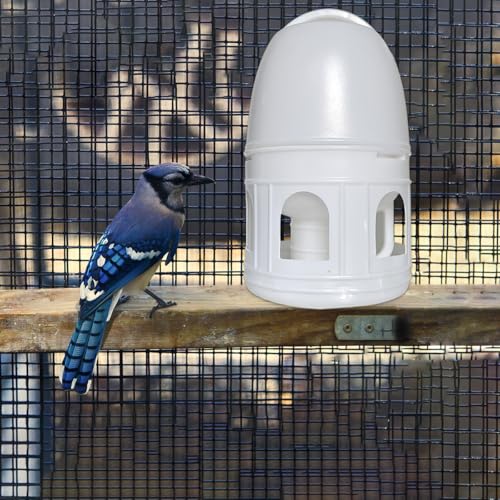Bird Water Drinker, Pigeon Water Feeding Plastic Drinker Dispenser, 5L Pigeon Pet Water Pot Container, Water Automatic Feeders Dispenser Supplies