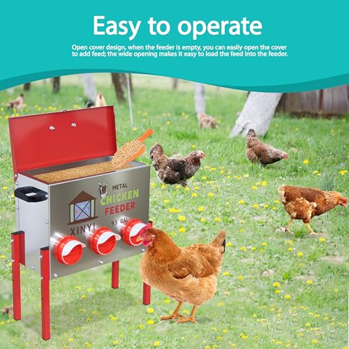 XINYI 9.3 Gallon Automatic Chicken Feeder, 6 Ports Gallon Chick Feeder No Waste with Adjustable Legs, Rodent Proof & Weatherproof Metal Raised Poultry Feeder - size: 6 ports with legs