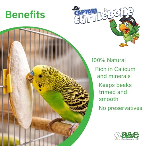 A&E Cage Co Captain Cuttlebone Natural Cuttlebone for Birds, 5 lb Bulk Box | Extra-Large Pieces, Natural Calcium Source, Supports Beak Trimming, For Breeders & Aviaries, 6-8 Inch