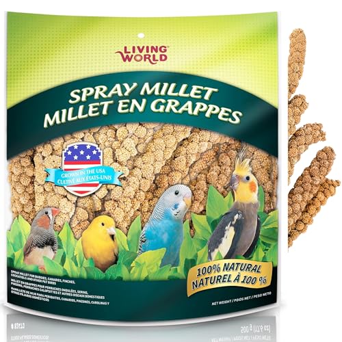 Living World – Millet Spray for Birds, 5 Pounds – Premium Treat for Budgies, Canaries, Finches, Cockatiels and Other Pet Birds - size: 5 Pound (Pack of 1)