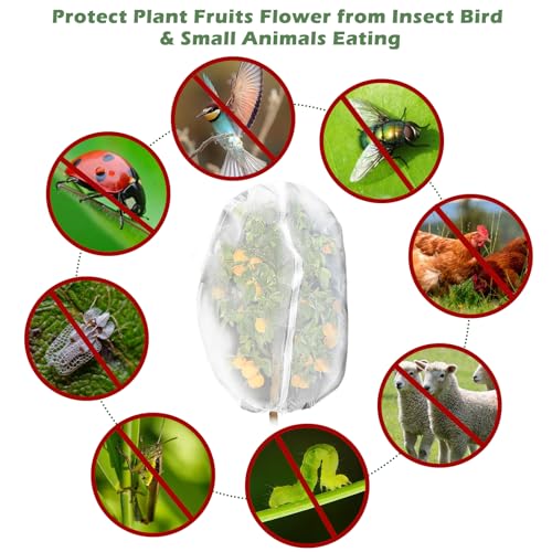 3Pcs Plant Covers from Insects, Bird Netting Barrier for Blueberry Bushes with Drawstring Zipper Mesh Garden Netting Fruit Tree Bags Plants Net Cage for Protect Tomato Vegetable Citrus, 3.3×5Ft - size: 3.3×5Ft/ 3pcs/ zipper