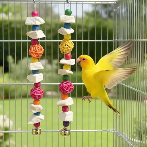 Bird Toys with Cuttlebone, Grinding Stone for Bird, 2 Pcs, C | Prevent Destructive Chewing, Colorful，White - style: Style C