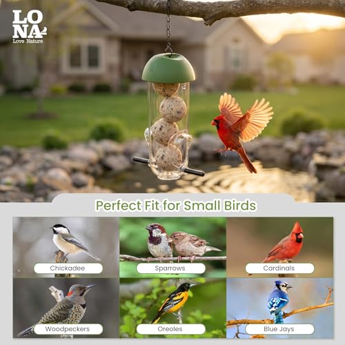 LONA Suet Ball Bird Feeder Outdoor Hanging Fat Ball Feeders with Versatile Mount Durable Weatherproof Washable Transparent Tube Wire Steel Metal Feeder for Wild Birds - style: Style1-Normal Tube