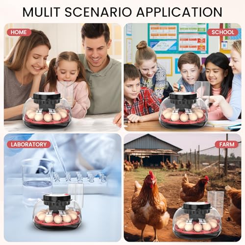 12 Egg Incubator for Hatching Chicken/Quail/Duck Eggs, Auto Turning, Digital Humidity/Temp Control, LED Candler, Auto Water Refill, 360° View (Smart Sensor) - color: Onyx Crimson