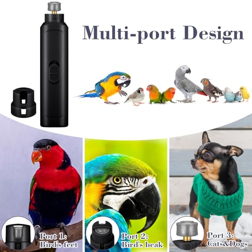 Lasnten 2 Pcs Bird Nail Grinder with Clipper Bird Nail Trimmer File Pet Grooming Tool for Parrot Budgerigars Parakeets Myna Conure Finches Lovebirds(Black) - color: Black