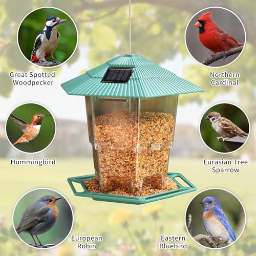 Solar Bird Feeder for Outdoors Hanging,Hanging Wild Bird Feeders with S Hook for Blue Bird, Cardinals, Finches,Wild Birds Seed Feeder, As Gift for Bird Lovers（Green） - color: Green Solar Bird Feeder