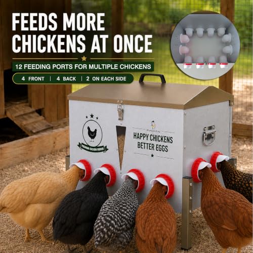 100 lb Automatic Chicken Feeder, 12-Port No-Waste Metal Feeder