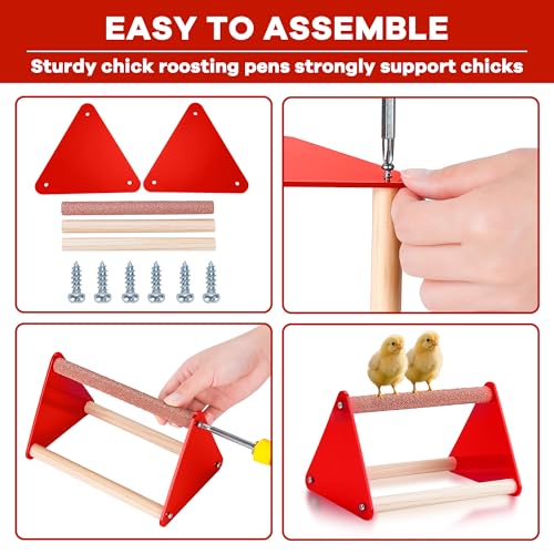 Chicken Feeder and Waterer Set, Chick Starter Kit with Chick Perch