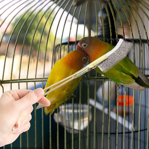 Abaodam 6 pcs Handle Bird Cage Cleaning Brush Pet Cage Cleaning Accessory Parrot Bird Droppings Wire Brush Scraper Tool Supplies