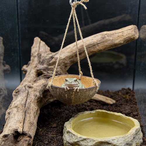 Natural Coconut Shell Frog Swing Toy, Reptile Hammock Bed with Hanging Rope & Metal Buckle, Terrarium Habitat Decor Accessories for Lizard Gecko Bearded Dragon Hamster Birds Hermit Crab Bearded Dragon