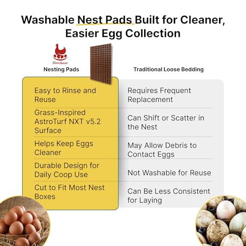 HenGear Nesting Pads, Astroturf NXT v5.2, Washable and Reusable, Medium | Nesting Pads for Chicken Coop, Durable AstroTurf Nest Pad Material for Clean Egg Collection, Comfortable Laying Surface - size: Medium
