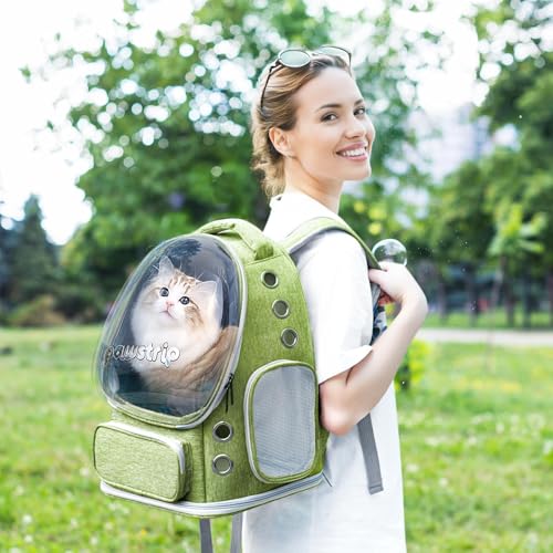 Cat Backpack Carrier with Large Space Bubble Window, Airline Approved Breathable Pet Carrier for Small Dogs Cats up to 15lbs, Foldable for Travel Hiking & Outdoor Use - color: Green