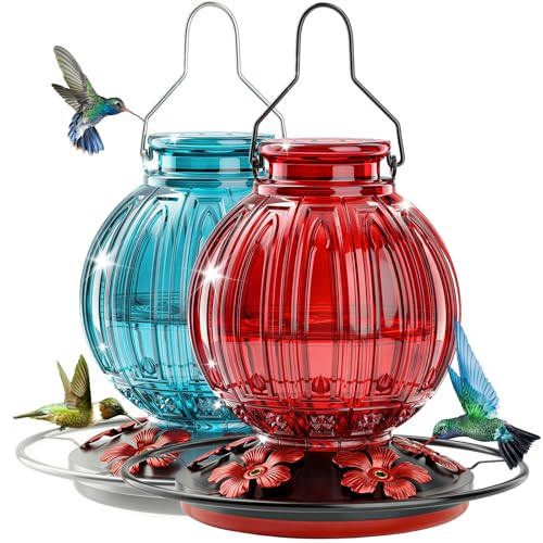 2 Pack Glass Hummingbird Feeder for Outdoors Hanging, Bird Nectar Feeder with Perch & 5 Flower Feeding Ports, 26 Oz Leak Proof for Outside Garden Decor Backyard, Gifts for Women Mom, Red + Blue - color: Red + Blue