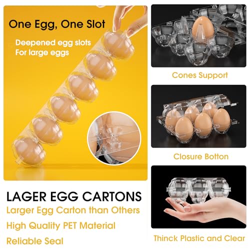 100 Pack Large Egg Cartons Cheap Bulk 6 Count Plastic Egg Containers 2x3 | Large Reusable Bulk Egg Carton Clear Egg Holder for Home Ranch Farm Commercial Market Plastic Egg Contains for Craft Project - size: 100Pack-2x3 Large