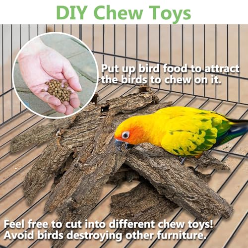 Cork Bark Perch for Birds 16"X12" Natural Cork Chewing Toy 2 PCS Flat Budgies Bark Seat Board Wood Bark Background Decor Panel Birdcage Accessories for Parakeet Lovebirds Cockatiels Conures